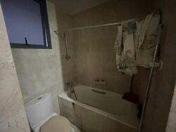 Carissa Park Condominium (D17), Condominium #518705351